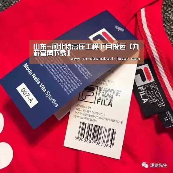 山东-河北特高压工程下月投运【九游官网下载】(图1) 九游游戏盒子