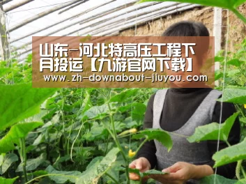 山东-河北特高压工程下月投运【九游官网下载】(图2) 九游官网下载