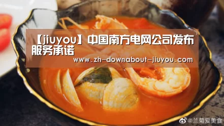 【jiuyou】中国南方电网公司发布服务承诺(图2) 九游游戏中心官网