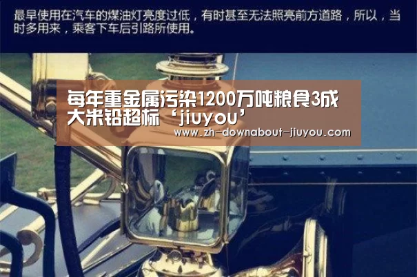 每年重金属污染1200万吨粮食3成大米铅超标‘jiuyou’(图4) 九游游戏盒子